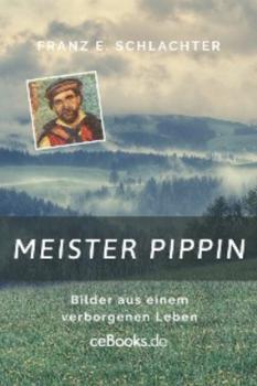 Читать Meister Pippin - Franz Eugen Schlachter