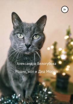 Читать Родик, кот и Дед Мороз - Александра Белогубова