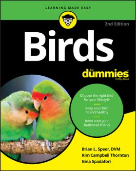 Читать Birds For Dummies - Gina  Spadafori