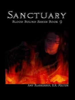 Читать Sanctuary  - Amy Blankenship