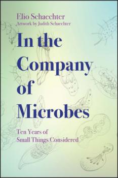 Читать In the Company of Microbes - Moselio  Schaechter