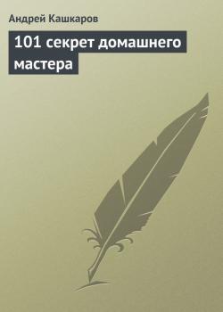 Читать 101 секрет домашнего мастера - Андрей Кашкаров