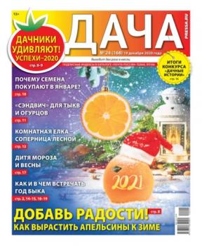 Читать Дача Pressa.ru 24-2020 - Редакция газеты Дача Pressa.ru