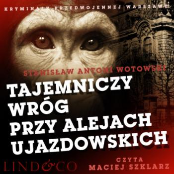 Читать Tajemniczy wróg przy Alejach Ujazdowskich - Stanisław Antoni Wotowski