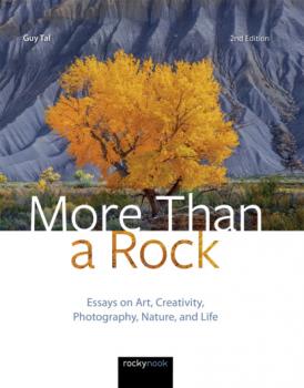 Читать More Than a Rock, 2nd Edition - Guy Tal