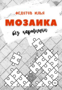 Читать Мозаика без картинки - Илья Федотов