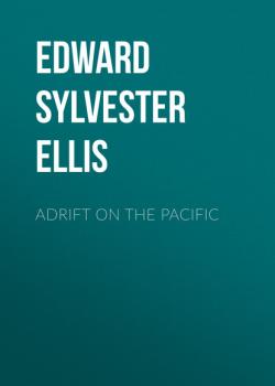 Читать Adrift on the Pacific - Edward Sylvester Ellis