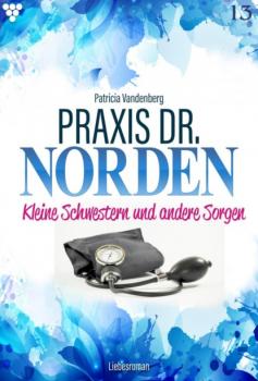 Читать Praxis Dr. Norden 13 – Arztroman - Patricia Vandenberg
