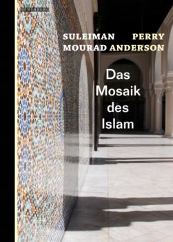 Читать Das Mosaik des Islam - Perry Anderson