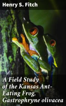 Читать A Field Study of the Kansas Ant-Eating Frog, Gastrophryne olivacea - Henry S. Fitch