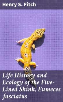 Читать Life History and Ecology of the Five-Lined Skink, Eumeces fasciatus - Henry S. Fitch