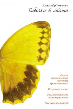 Читать Бабочка в ладони - Александр Ткаченко