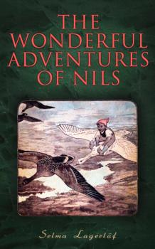 Читать The Wonderful Adventures of Nils - Selma Lagerlöf