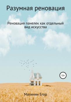 Читать Разумная реновация - Егор Сергеевич Малинин