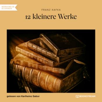 Читать 12 kleinere Werke (Ungekürzt) - Franz Kafka