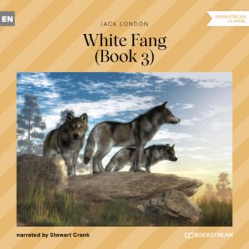 Читать White Fang, Book 3 (Unabridged) - Jack London
