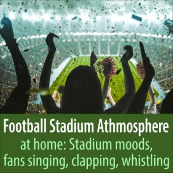Читать Football Stadium Athmosphere at Home: Stadium Moods, Fans Singing, Clapping, Whistling - Todster