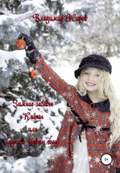 Читать Зимние забавы Кнопы, или Чудеса в Новом году - Владимир Николаевич Жиров