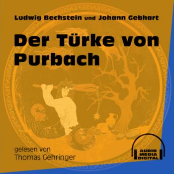 Читать Der Türke von Purbach (Ungekürzt) - Ludwig Bechstein