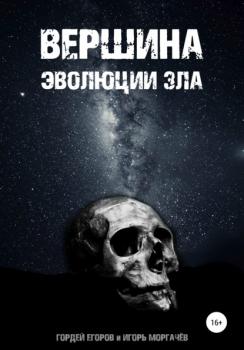 Читать Вершина эволюции зла - Гордей Егоров