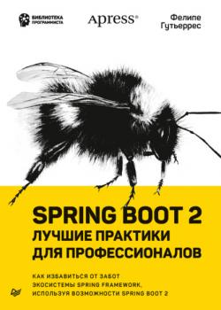 Читать Spring Boot 2: лучшие практики для профессионалов - Фелипе Гутьеррес