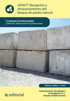 Читать Recepción y almacenamiento del bloque de piedra natural. IEXD0108 - Tecnología e Investigación S.L. Asesoramiento