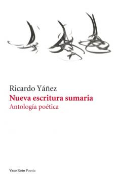 Читать Nueva escritura sumaria - Ricardo Yáñez