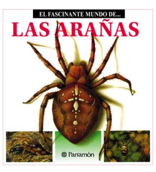 Читать Las Arañas - Maira Àngels Julivert