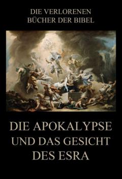 Читать Die Apokalypse und das Gesicht des Esra - Paul Rießler