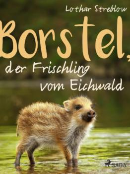 Читать Borstel, der Frischling vom Eichwald - Lothar Streblow