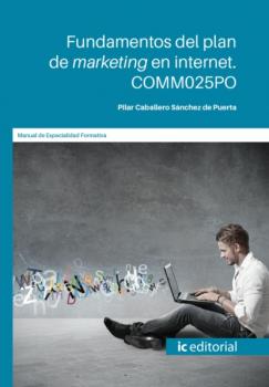 Читать Fundamentos del plan de marketing en internet. COMM025PO - Pilar Caballero Sánchez de Puerta