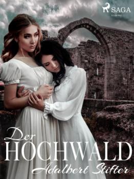 Читать Der Hochwald - Adalbert Stifter
