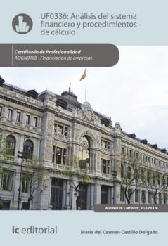 Читать Análisis del sistema financiero y procedimiento de cálculo. ADGN0108 - María del Carmen Castillo Delgado