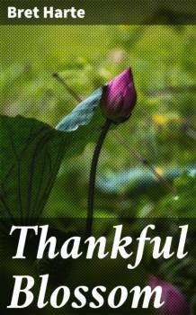 Читать Thankful Blossom - Bret Harte