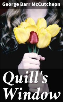 Читать Quill's Window - George Barr McCutcheon