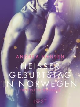 Читать Heißer Geburtstag in Norwegen: Erotische Novelle - Andrea Hansen