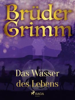 Читать Das Wasser des Lebens - Brüder Grimm
