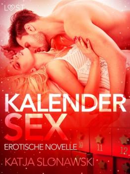 Читать Kalendersex: Erotische Novelle - Katja Slonawski