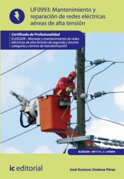 Читать Mantenimiento de redes eléctricas aéreas de alta tensión. ELEE0209 - José Gustavo Jiménez Pérez