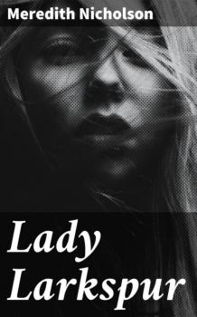 Читать Lady Larkspur - Meredith Nicholson