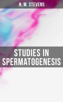 Читать Studies in Spermatogenesis - N. M. Stevens