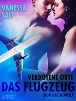 Читать Verbotene Orte: Das Flugzeug - Erotische Novelle - Vanessa Salt