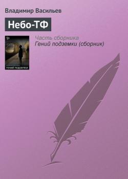 Читать Небо-ТФ - Владимир Васильев