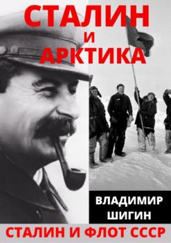 Читать Сталин и Арктика - Владимир Шигин