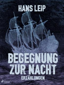Читать Begegnung zur Nacht - Hans Leip