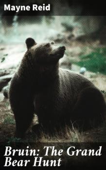 Читать Bruin: The Grand Bear Hunt - Майн Рид