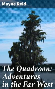 Читать The Quadroon: Adventures in the Far West - Майн Рид