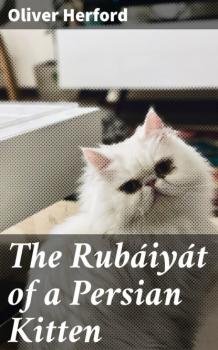 Читать The Rubáiyát of a Persian Kitten - Herford Oliver