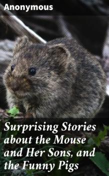Читать Surprising Stories about the Mouse and Her Sons, and the Funny Pigs - Unknown