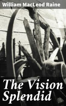 Читать The Vision Splendid - William MacLeod Raine